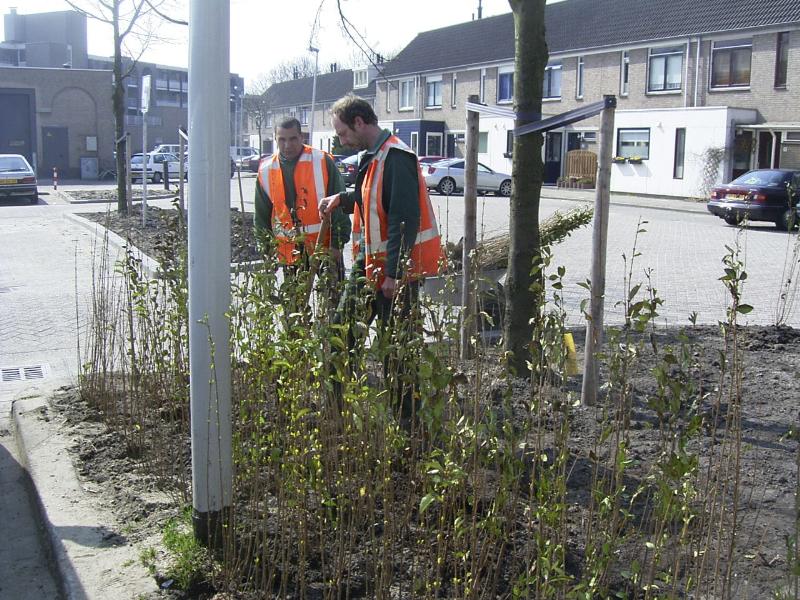 01-04-2005 het aanplanten van struiken in de vakken aan de noord/zuid verbinding en de parkeerplaats keverborgstraat.