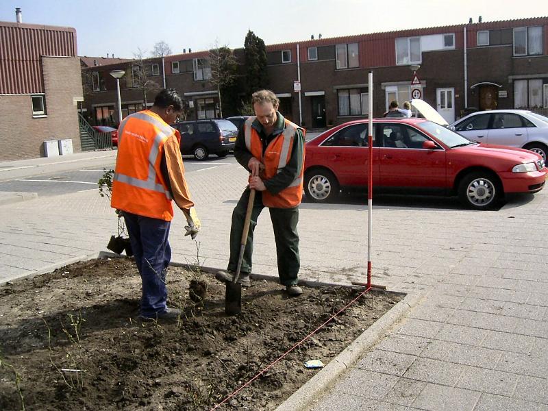 04-04-2005 het aan planten van rozenstruiken aan de cannenburgstraat.