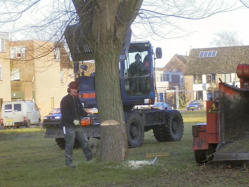14-01-2005 de werkzaamheden aan het park zijn begonnen met het rooien van de bomen.