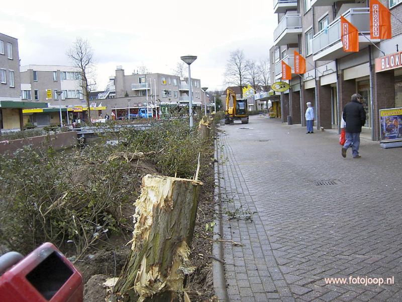 28-02-2006 de laatste bomen in het winkelcentrum beverwaard zijn weg gehaald.