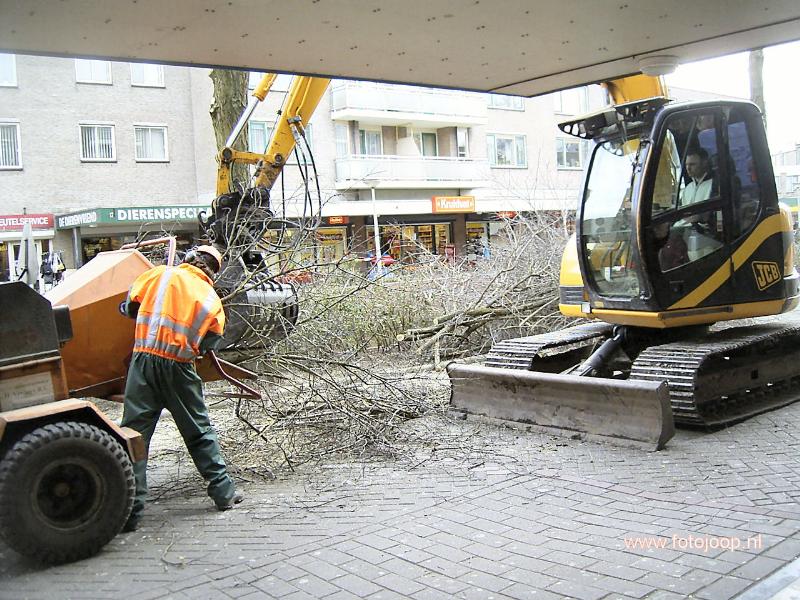 27-02-2006  de bomen aan de kant van hoogvliet in de beverwaard worden nu weggehaald.