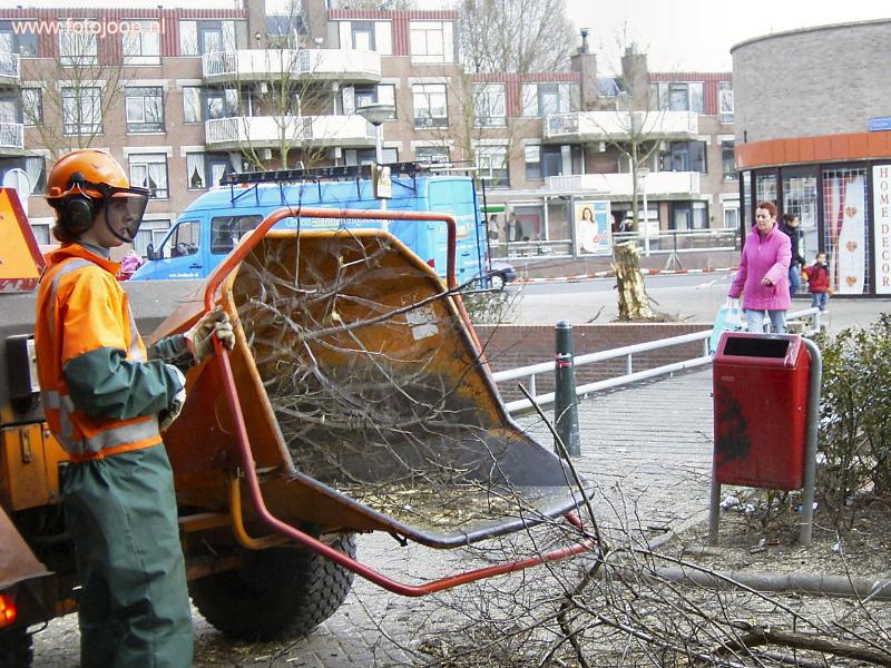 27-02-2006  de bomen aan de kant van hoogvliet in de beverwaard worden nu weggehaald.