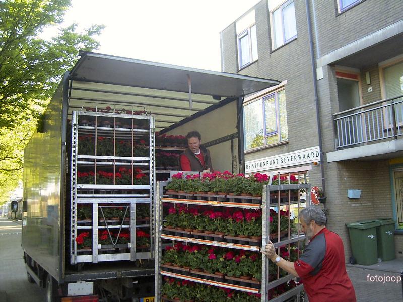 12-05-2005 het lossen van de geraniums bij de bewonerssteunpunt aan slangenburgplein.