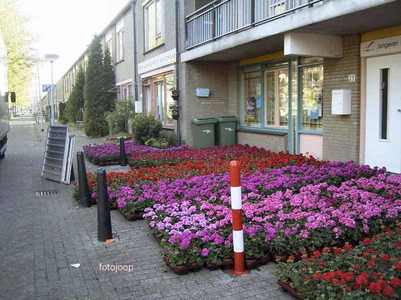 12-05-2005 het lossen van de geraniums bij de bewonerssteunpunt aan slangenburgplein.