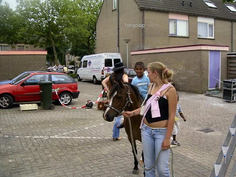 03-07-2005 country feest op het binnenterrein van de waardenburgdam/slangenburgweg.