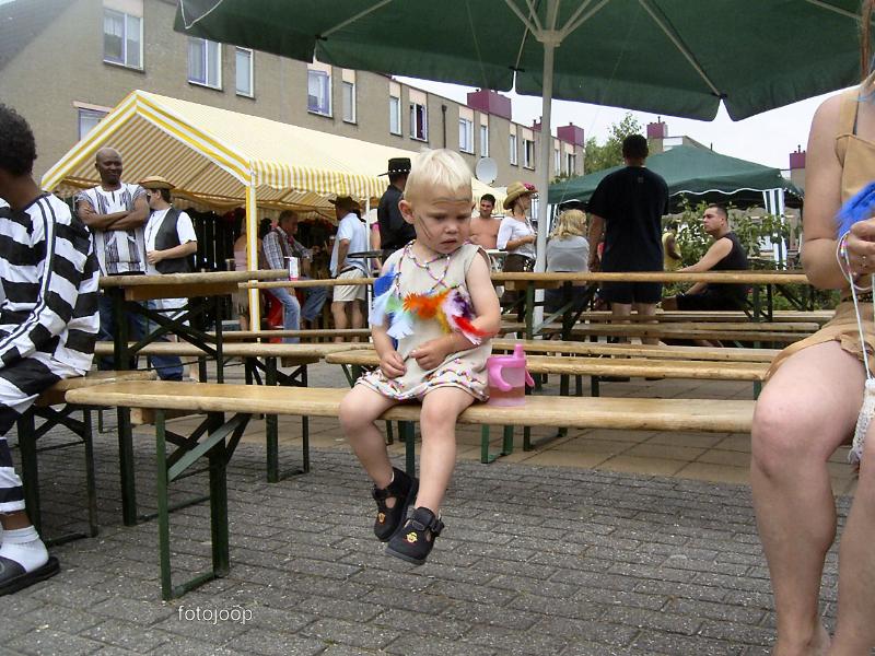 03-07-2005 country feest op het binnenterrein van de waardenburgdam/slangenburgweg.