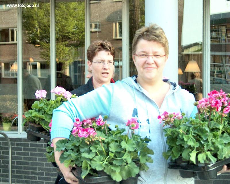 19-04-2007 opzoomeren het uitdelen van zomerplantjes aan de bewoners in de focus beverwaard