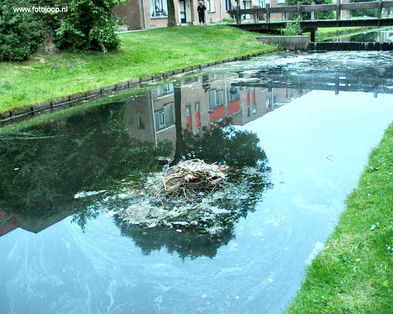 09-06-2007 foto van vervuiling van de rhijnauwensingel van friettuurvet waardoor de eenden vervuild zijn geworden in de beverwaard