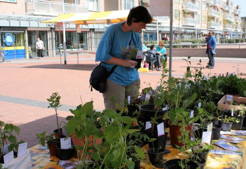 25-04-2009 foto plantjes ruilbeurs de tuin-academie en een kraam waar kinderen beschilderd kunnen worden in het winkelcentrum beverwaard 