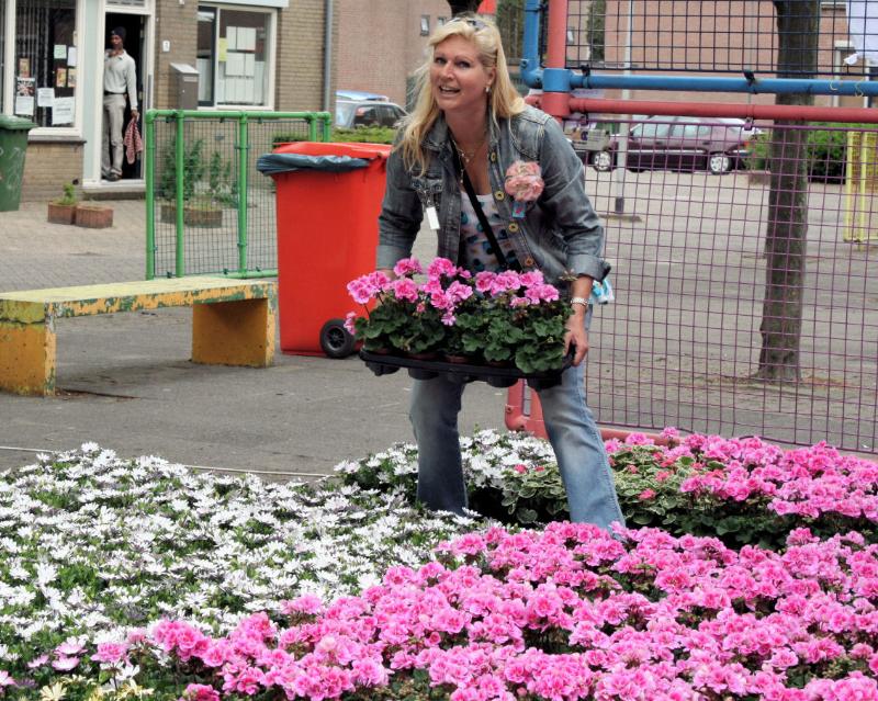 19-05-2009 opzoomer plantjes worden weer uitgereikt op het slangenburgplein beverwaard