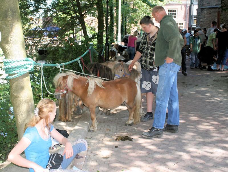 24-06-2009 paarden markt oud ijsselmonde