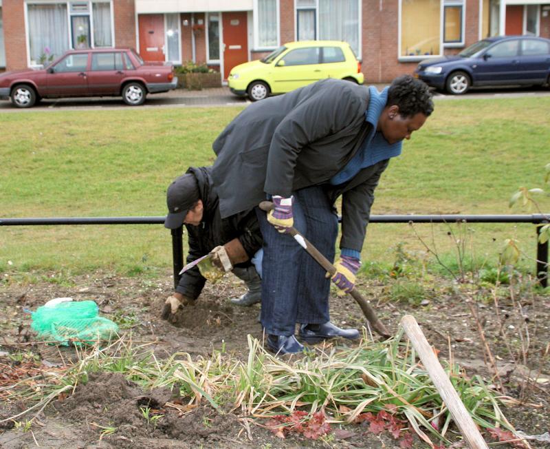  20-03-2010 complex52 buurtbewoners bezig met bollen planten buurttuin eckartstraat/ maurickerf beverwaard 
 
