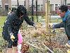  20-03-2010 complex52 buurtbewoners bezig met bollen planten buurttuin eckartstraat/ maurickerf beverwaard 