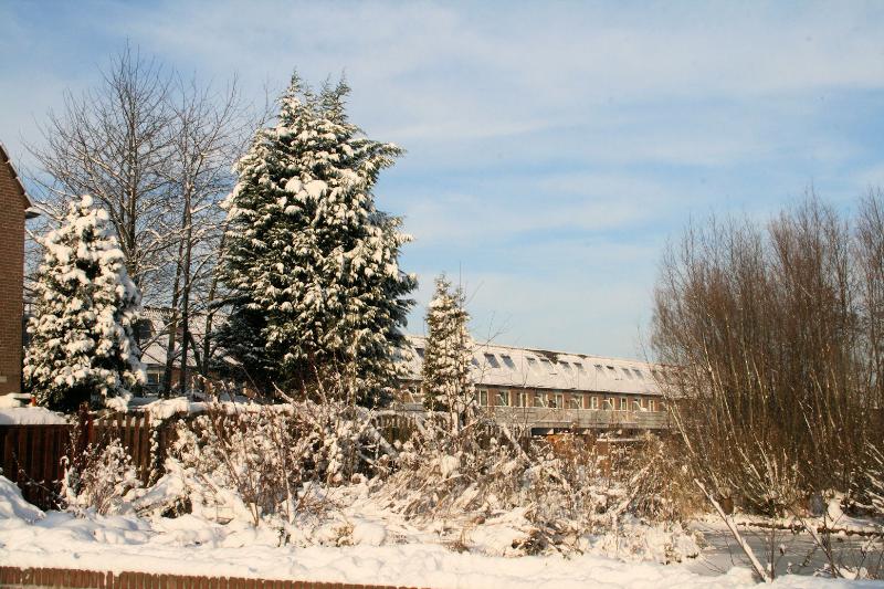 20-12-2010 sneeuw in de beverwaard.