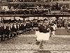 5-1937 in de kuip geplaatst 28-7-22