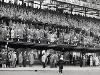 19-1951   Het publiek bij de voetbalwedstrijd Nederland-België 9-1 in de kuip images geplaatst 22-9-22