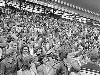 5-1937 Het slotdeel van het onderzoek naar de trouw van de Feyenoord-supporters sinds de opening van de Kuip in 1937.  staking.nieuw geplaatst 11-08-2017 pinterest