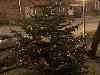 13-12-20  kerstboom op tuigen aan de sandenburgbaan 