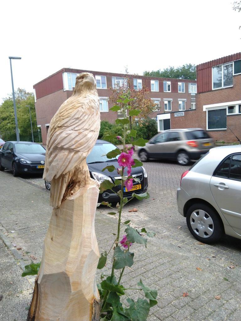 1-11-2019 kunst werk arend uitgezaagd van boom stronk cannenburg straat