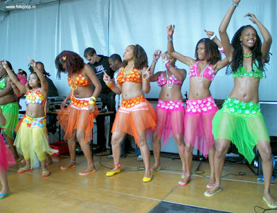 Foto 72 uit carnaval2008beverw