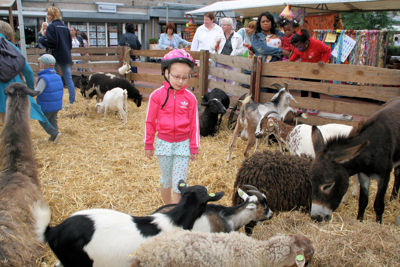 Foto 101 uit WijkFeest15_09_2012