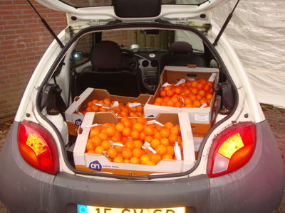 Foto 14 uit HalloweenWoonbron