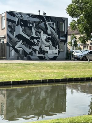 Foto 22 uit All Caps Muurschilderingen Beverwaard 2026