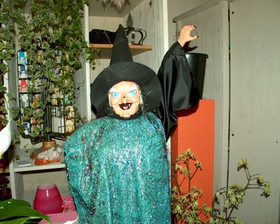 Foto 358 uit halloweenbeverwaard