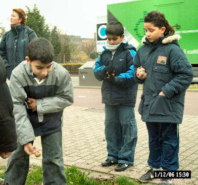 Foto 120 uit bloembollen planten