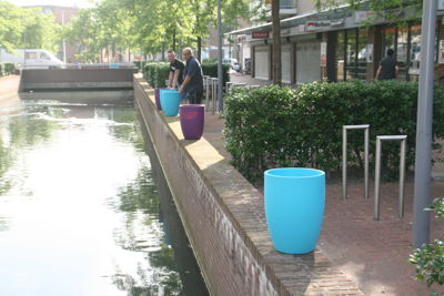 Foto 9 uit HippePlantenBakken