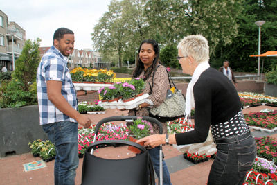 Foto 91 uit OpzoomerenPlantjes