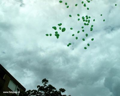 Foto 19 uit 16_06 susannadijk