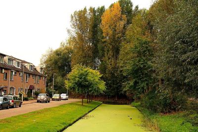 Foto 10 uit Herfst In Beverwaard