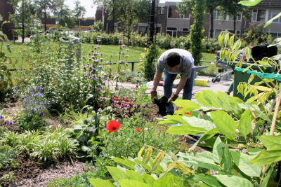 Foto 16 uit Tropische Tuin12_6