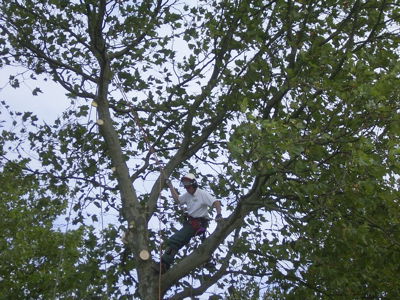 Foto 112 uit Noord_Zuid fase 2bw