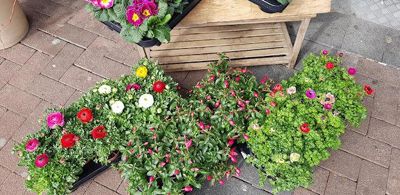 Foto 6 uit CoronaMededelingen