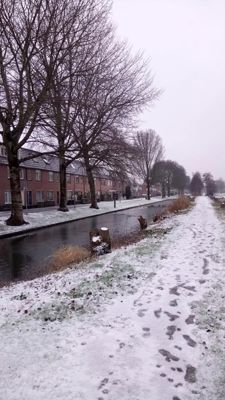 Foto 79 uit WinterIn Beverwaard