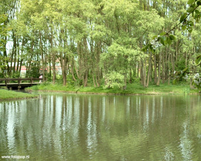 Foto 96 uit Foto's Beverwaard