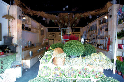 Foto 91 uit De Bloemenboetiek