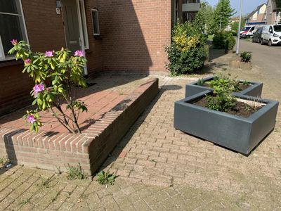 Foto 240 uit Rondje Beverwaard 2026