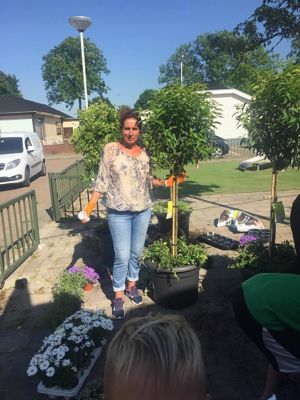 Foto 8 uit VrolijkSevenaerstraat