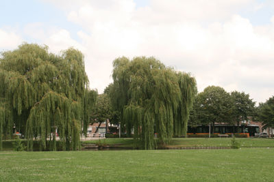 Foto 325 uit StratenBEVERWAARD