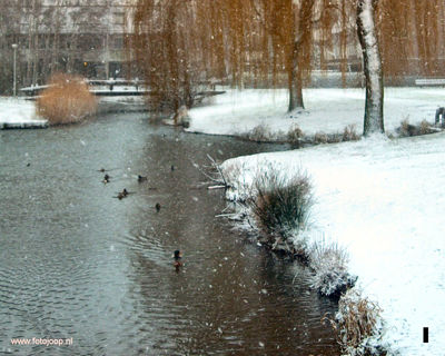 Foto 163 uit WinterIn Beverwaard