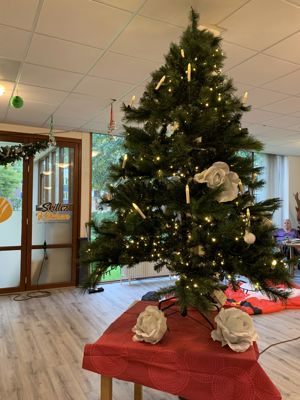 Foto 12 uit Kersversieringen2021