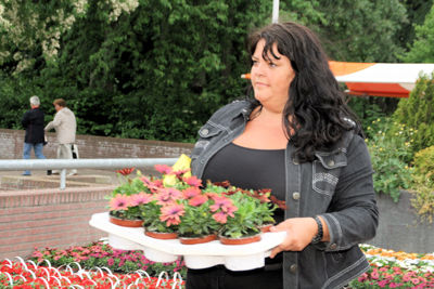 Foto 41 uit OpzoomerenPlantjes