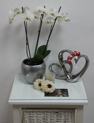 Foto 7 uit San4You Heropening