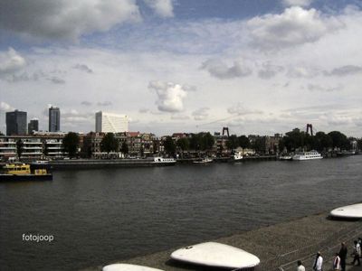 Foto 91 uit red bull air race r.dam