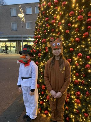 Foto 18 uit Grote Kerstboom WC