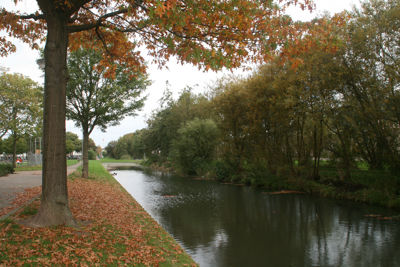 Foto 147 uit Herfst In Beverwaard