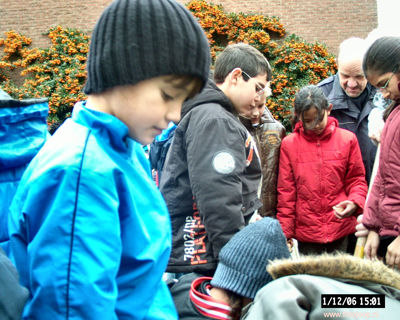 Foto 60 uit bloembollen planten